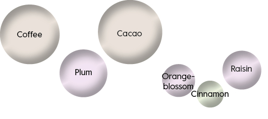 Chocoladereep Puur Maracaibo Clasificado 65%